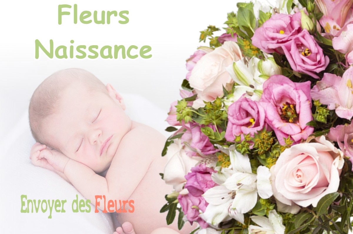 lIVRAISON FLEURS NAISSANCE à PRATZ